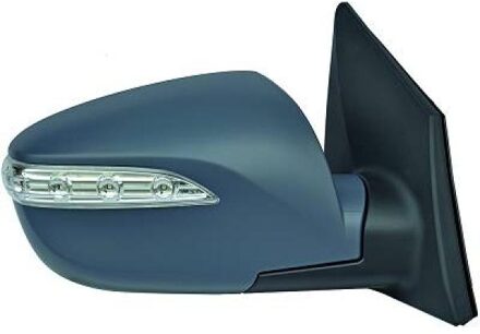 Hyundai Buitenspiegel 6861326