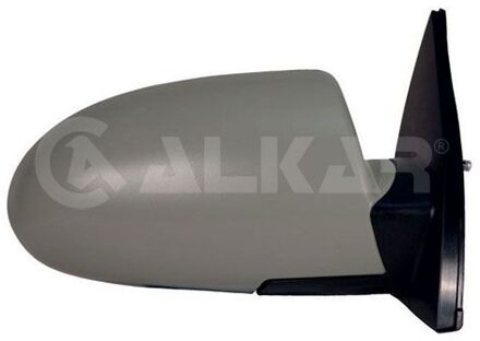 Hyundai Buitenspiegel rechts volledig 6140576