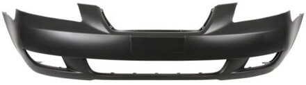 Hyundai Bumper 5510003169900P