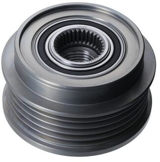 Hyundai Dynamo Riemschief Kia Carnival, Carnival Ii 588073