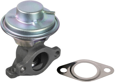 Hyundai EGR-klep 174500