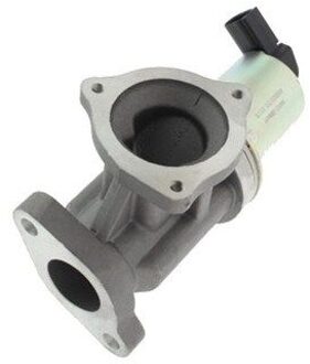 Hyundai EGR-klep EV012
