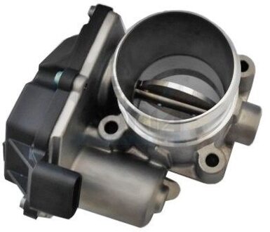 Hyundai Gasklephuis 89318