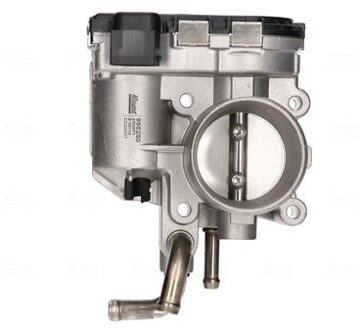 Hyundai Gasklephuis 955250