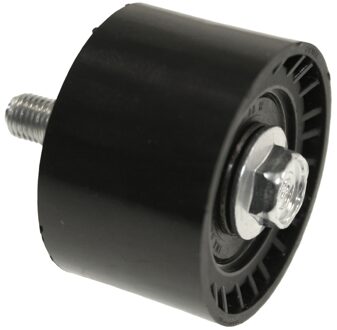 Hyundai Geleide rol/omdraairol getande riem ADG07668