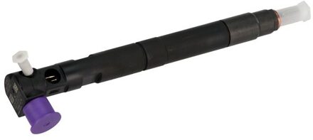 Hyundai Injector Delphi 28229873 DFI28229873