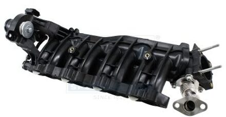 Hyundai Inlaatspruitstuk 89573