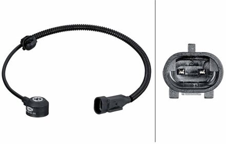 Hyundai Klopsensor 6PG013114551