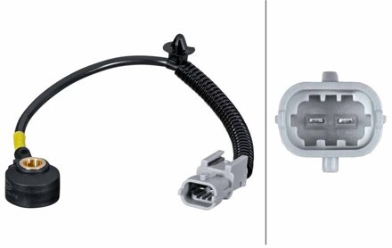 Hyundai Klopsensor 6PG013114721