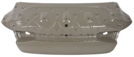 Hyundai Kofferruimteklep 6301003174710P