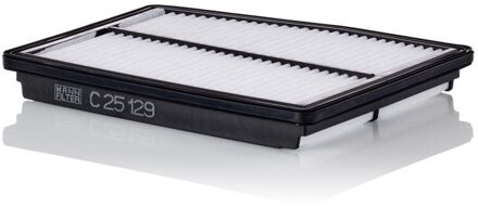 Hyundai Luchtfilter C25129