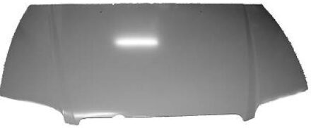 Hyundai Motorkap 6885800