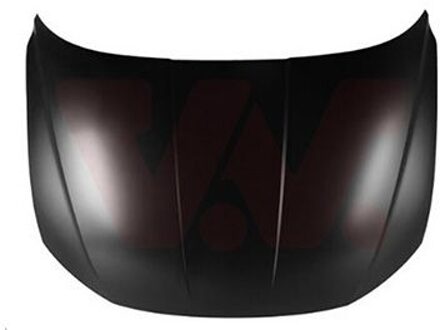 Hyundai Motorkap Voor 8296660