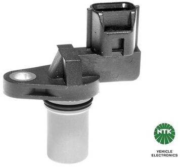 Hyundai Nokkenassensor 81461