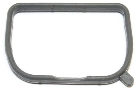 Hyundai Pakking, inlaatspruitstuk