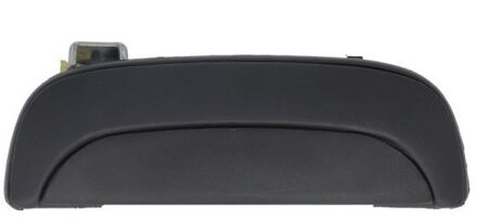 Hyundai Portiergreep buitenkant 601020008402P