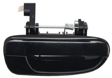 Hyundai Portiergreep buitenkant 601020016404P