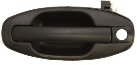Hyundai Portiergreep buitenkant 601020021401P