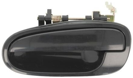 Hyundai Portiergreep buitenkant 601020023403P