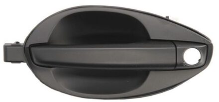 Hyundai Portiergreep buitenkant 601020040401P