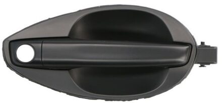 Hyundai Portiergreep buitenkant 601020040402P