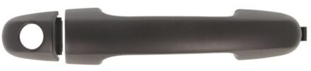 Hyundai Portiergreep buitenkant 601020045401P