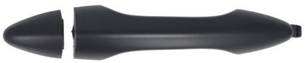 Hyundai Portiergreep buitenkant 6010200568402P