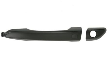 Hyundai Portiergreep buitenkant 6010200570401P