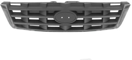 Hyundai Radiateurgrille 6502073155996P