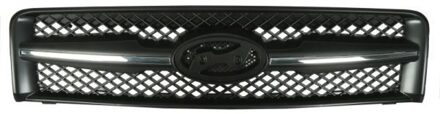 Hyundai Radiateurgrille 6502073175990P