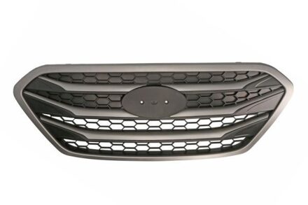 Hyundai Radiateurgrille 6502073177990P