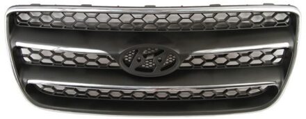 Hyundai Radiateurgrille 6502073181990P