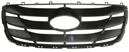 Hyundai Radiateurgrille 6502073181991P