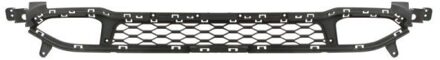 Hyundai Radiateurgrille 6502079080911P