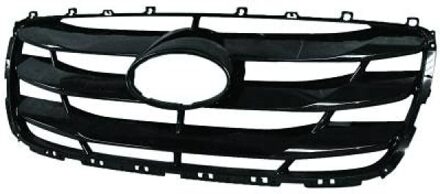 Hyundai Radiateurgrille 6871140