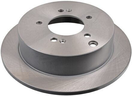 Hyundai Remschijf achter 31362