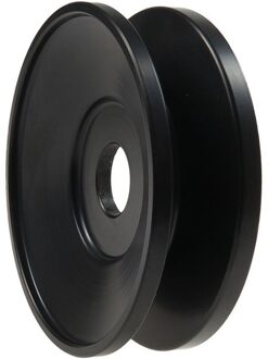 Hyundai Riemschijf, dynamo AP2004