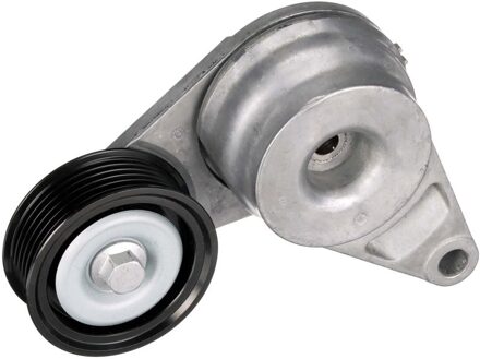 Hyundai Riemspanner, Poly V-riem T39420