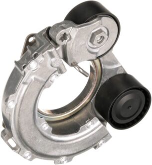 Hyundai Riemspanner, Poly V-riem T39564