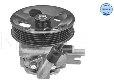 Hyundai Servo pomp 37146310000