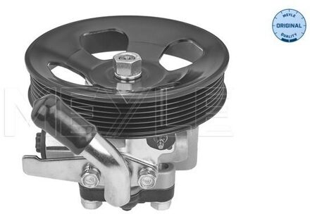 Hyundai Servo pomp 37146310004