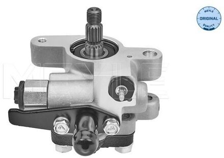 Hyundai Servo pomp 37146310006