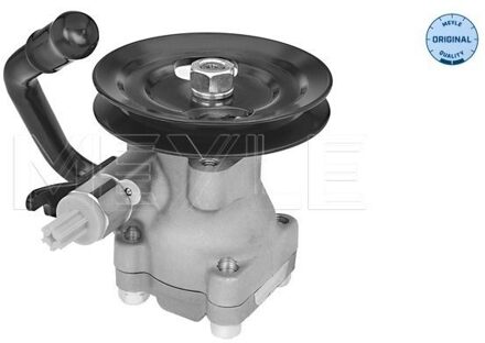 Hyundai Servo pomp 37146310011