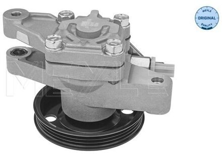Hyundai Servo pomp 37146310012