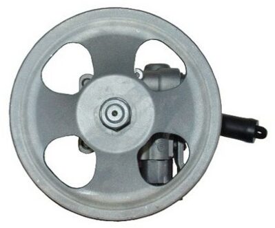 Hyundai Servo pomp 54436