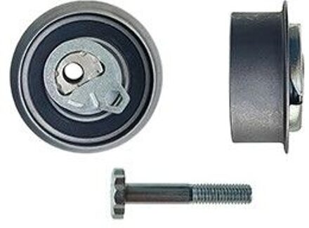 Hyundai Spanrol, distributieriem T43276