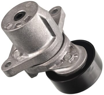 Hyundai Spanrol, Poly V-riem