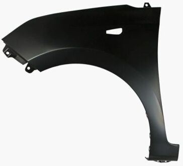 Hyundai Spatbord 6504043121311P