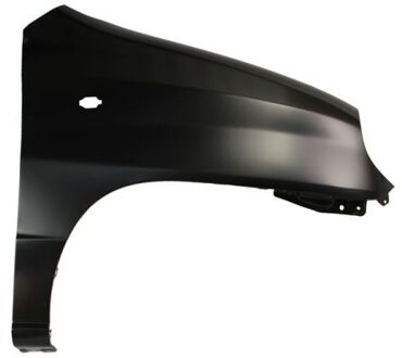 Hyundai Spatbord 6504043125312P