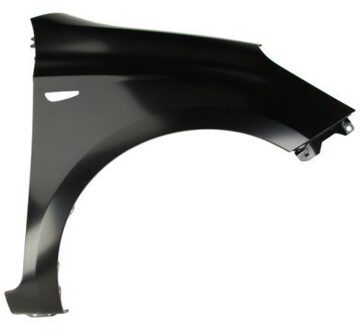 Hyundai Spatbord 6504043128312P